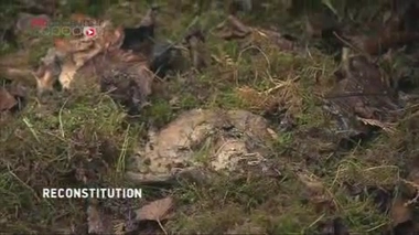 Médecine légale : les insectes témoignent