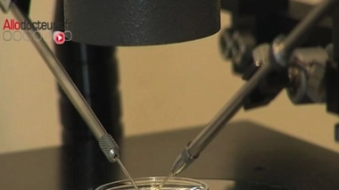 FIV : sept fois plus de risques d'embolie pulmonaire