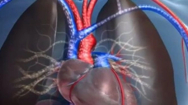 Ch@t : L'HyperTension Artérielle (HTA)