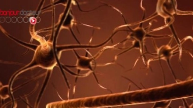 Un milliard d'euros pour modéliser le cerveau humain