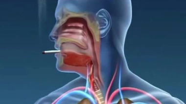 Ch@t : Où en êtes-vous avec le tabac ?