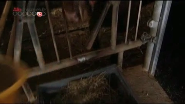 Pas de cheval dans mes lasagnes !