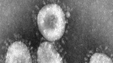Un virus proche du SRAS fait une nouvelle victime