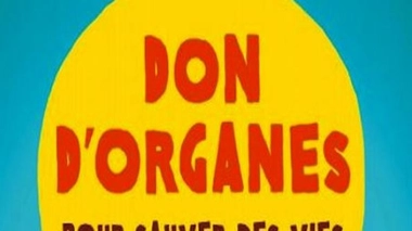Don d'organes : une association à l'écoute des familles de donneurs