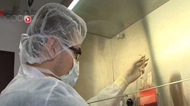 Des recherches sur l'embryon bientôt élargies ?