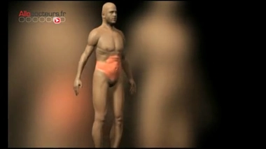 Obésité : des bactéries à la place du bistouri ?