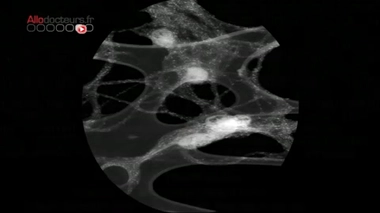 ''Petit mais costaud'', telle pourrait être la devise des nanomatériaux