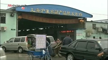 Faut-il redouter le virus H7N9 ? Explications en vidéo du 8 avril 2013