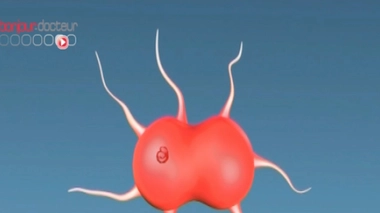 Lyon : une étudiante de 20 ans meurt d'une méningite