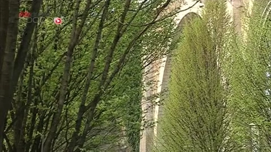 ''Le retour des allergies saisonnières'', un reportage de Géraldine Zamansky, Eloïse Malet et Hervé Droguet