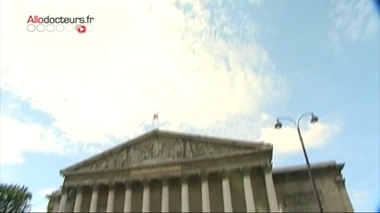 Une proposition de loi pour lutter contre l'ambroisie