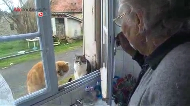 La télémédecine appliquée à la cardiologie - Reportage de Perrine Dutreil, Farid Mahmoudi et Isabelle Gastebois