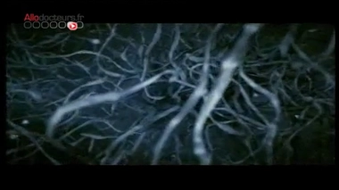 Il y a 60 ans, l'ADN livrait ses secrets