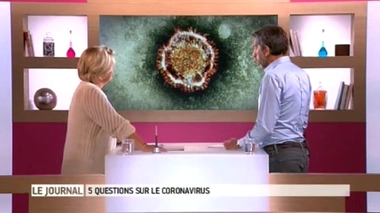 Entretien avec le Dr Caroline Semaille, épidémiologiste à l'Institut de veille sanitaire (InVS)