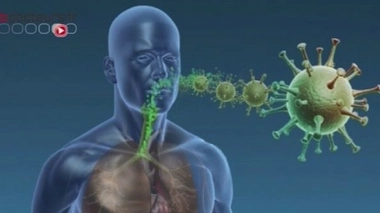 Coronavirus : transmission de patients à soignants en Arabie saoudite