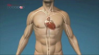 Traitements diurétiques : quel est leur rôle ?